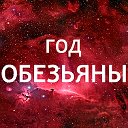 Факты о родившихся в год Обезьяны