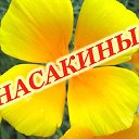 Насакины