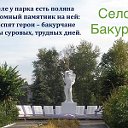 Бакуры