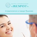 Центр стоматологии "Жемчуг" в г. Пушкино