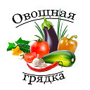 Овощная грядка