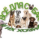 Всё для собак и их хозяев🐶 Everything for dogs