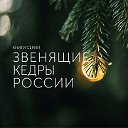 Книги "Звенящие кедры России", читать онлайн