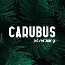 Carubus