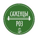 Уютный сад (саженцы роз)