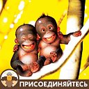 Посмеемся вместе