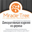 Miracle Tree STV (Творческая мастерская)