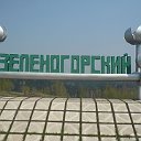 Жизнь в Зеленогорске....