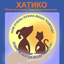 "ХАТИКО"- помощь животным, Красноярск