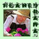 Plantorama.ru  - цветы, растения, жизнь
