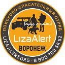 Поисково-спасательный отряд "ЛизаАлерт" Воронеж