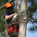 Расчистка участков,благоустройство территорий.