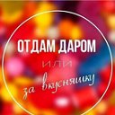 Отдам даром или за вкусняшку.БОЛЬШАЯ МУРТА