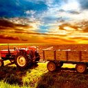 Фермерство и Сельское хозяйство