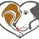 Фонд " Помощь бездомным собакам"