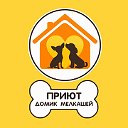 Домик Мелкашей - приют маленьких собак