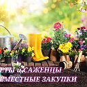 ЦВЕТЫ и САЖЕНЦЫ.СОВМЕСТНЫЕ ЗАКУПКИ.ТУЙМАЗЫ