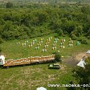 Мед с личной пасеки Кайгородовых в Белокурихе.