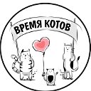 ПРИЮТ❤️ИРКУТСК❤️КОТОКАФЕ