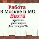 Работа в МО