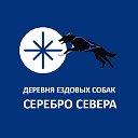 Деревня ездовых собак Серебро Севера