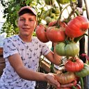 🍅Минусинский край- Помидорный рай🍅