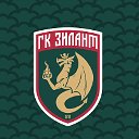 Зилант гандбольный клуб