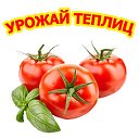 Теплицы из поликарбоната в Краснодаре купить