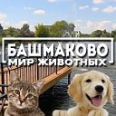 Башмаково. Мир животных