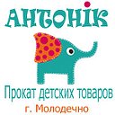 Прокат детских товаров ANTONIK.BY г. Молодечно