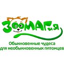 "ЗООМАГИЯ" Интернет-Магазин для Ваших животных.