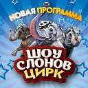 Шоу Слонов ● Цирк Кузнецк