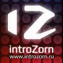IntroZorn - Разработчик программного обеспечения