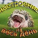 Настроение на весь день!!!