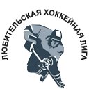 Общественная организация хоккея городского округа