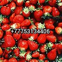 Астана ягоды Лагенария Латук Лоба Лук овощи фрукты