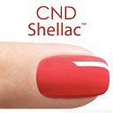 ★★★ Shellac Шеллак в Омске!!! ★★★