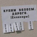 ЗАВОДОУКОВСК ОБЪЯВЛЕНИЯ