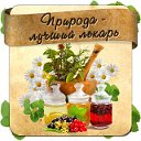 Настойка восковой моли, купить! Огневка пчелиная