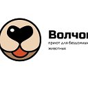 ПРИЮТ ДЛЯ БЕЗДОМНЫХ ЖИВОТНЫХ "ВОЛЧОК"г.Челябинск