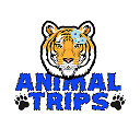 Доставка Ваших питомцев Animal Trips