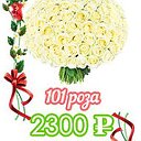 Доставка цветов роз Москва 101 51 роза дешево