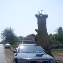 Kызылагадж