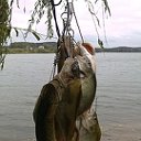 Рыбалка в Беларусии