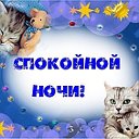 СПОКОЙНОЙ НОЧКИ