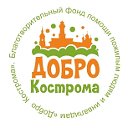 БФ "Добро Кострома"