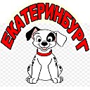 Продажа собак в Екатеринбурге и Свердловской обл