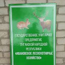 ГУП ЛНР "Ивановское лесоохотничье хозяйство"