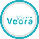 Veora-bio — бактерии в питательной жидкой среде