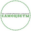 САМОЦВЕТЫ - сеть салонов ювелирных украшений